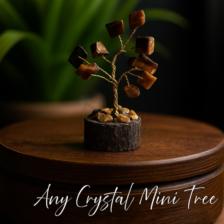 diwali combo diwali combo