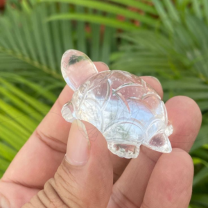 clear quartz tortoise