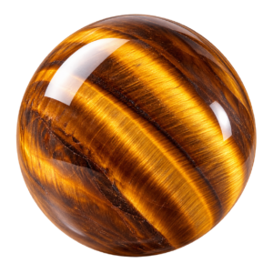 chatgpt image aug 15 2026 11 51 36 am.png